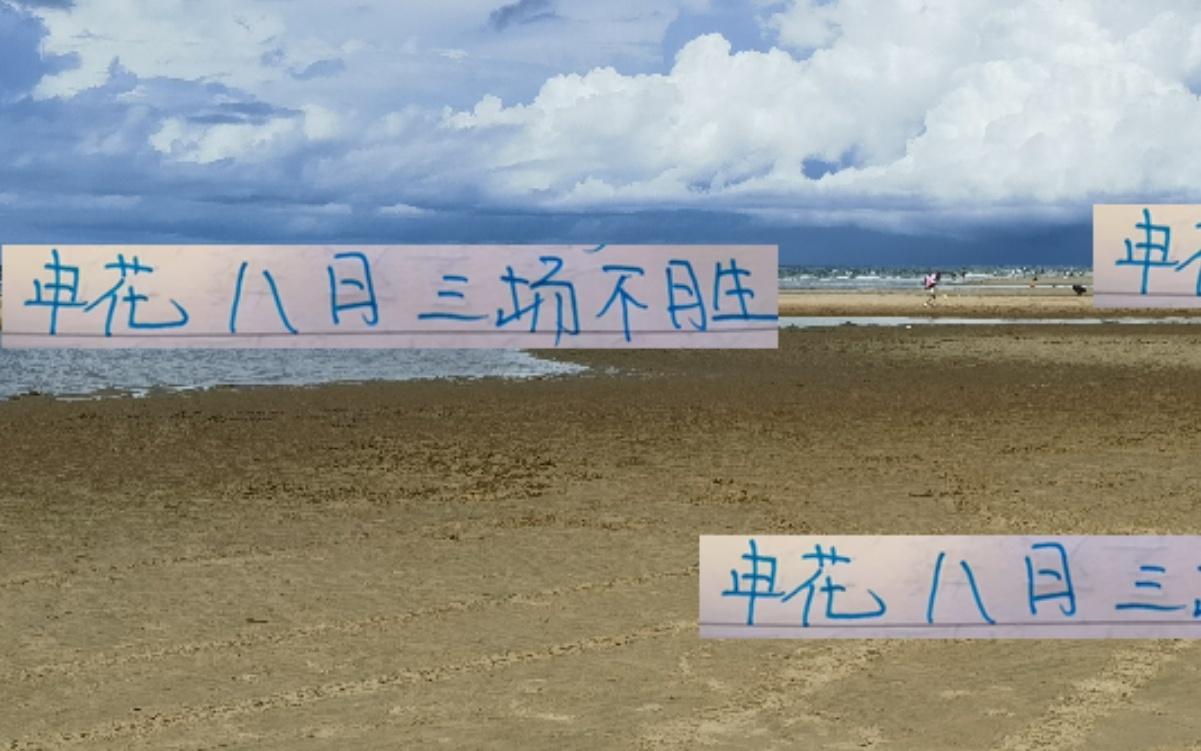 輪到申花“司機(jī)”踩急剎車！云南站海港站浙江站都路路不通