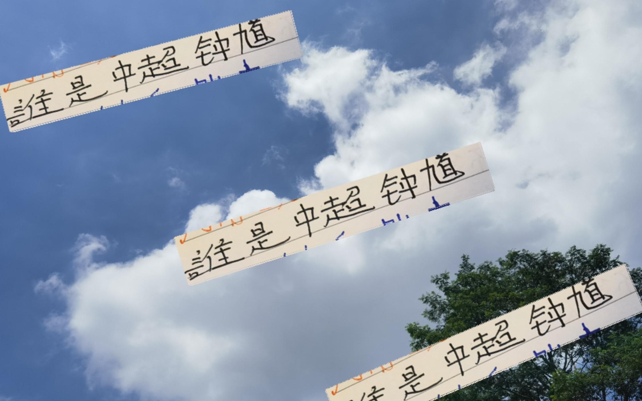 誰才是中超里面的鐘馗前申花名宿馬萊萊或者河南隊阿奇姆彭